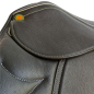 Preview: JC Vries Dressur