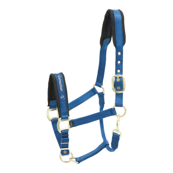 Kieffer Collection Blau