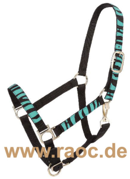 Premium Halfter Türkis Zebra