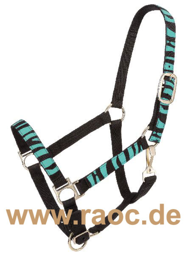 Premium Halfter Türkis Zebra
